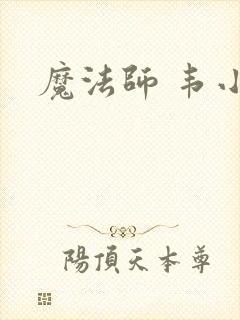 魔法师 韦小宝
