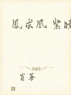 凤求凰 紫晓