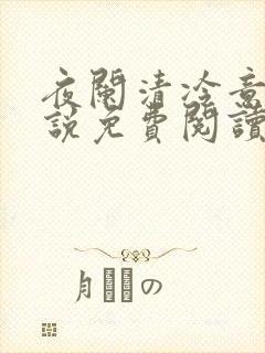 夜阑清冷意欢小说免费阅读