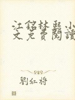 江铭林熙小说全文免费阅读