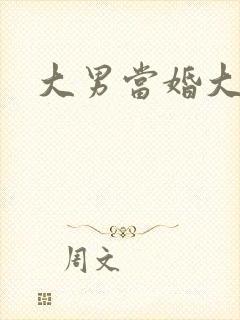 大男当婚大结局