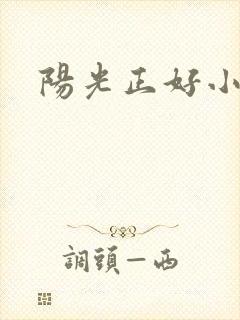 阳光正好小说