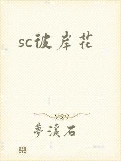 sc彼岸花封面