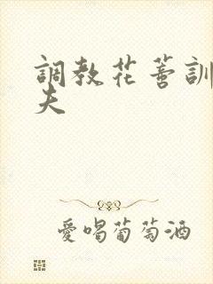 调教花蒂训诫从夫