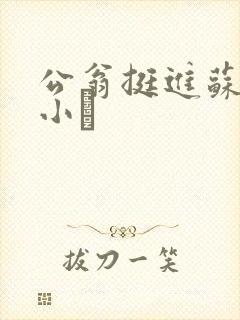 公翁挺进苏玥的小泬