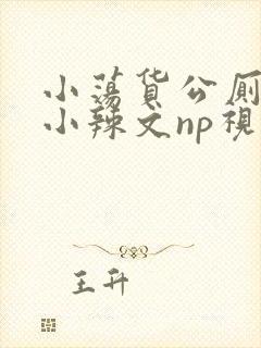 小荡货公厕h文小辣文np视频