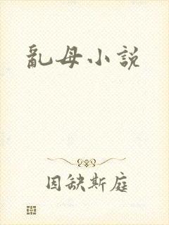 乱母小说