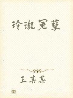 玲珑冤孽