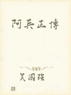 阿兵正传封面