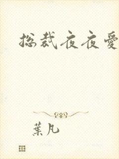 总裁夜夜爱