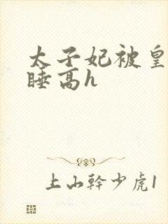 太子妃被皇上强睡高h封面