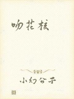 吻花核封面