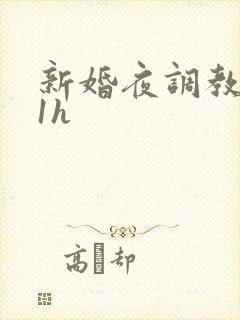 新婚夜调教1v1h