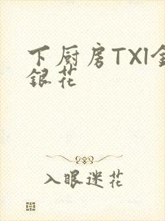 下厨房TXl金银花