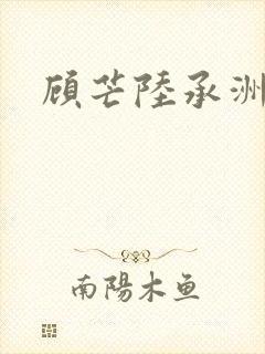 顾芒陆承洲