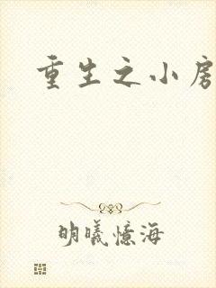 重生之小房东封面