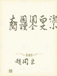 大团圆白洁免费阅读全文小说封面