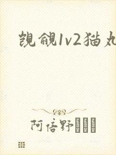 觊觎1v2猫丸封面