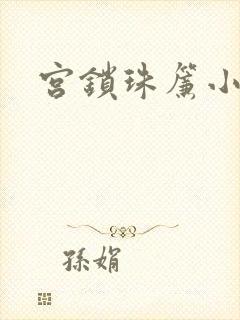 宫锁珠帘小说