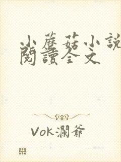 小蘑菇小说免费阅读全文