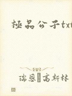 极品公子txt