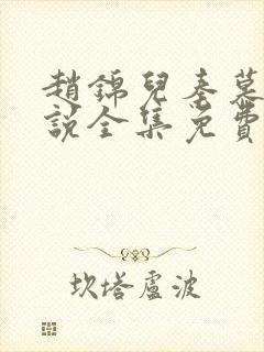 赵锦儿秦慕修小说全集免费