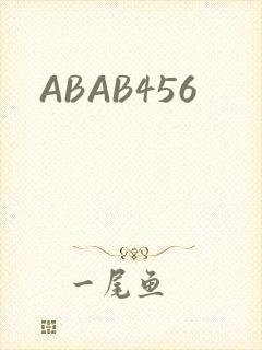 ABAB456封面