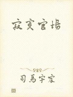 寂寞官场