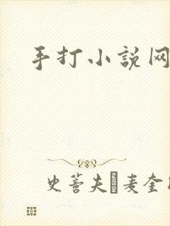 手打小说网