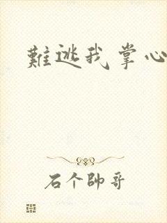 难逃我掌心