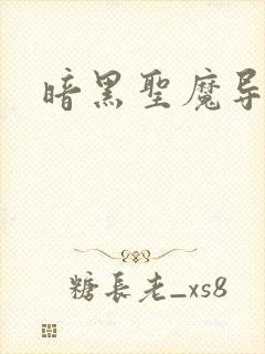 暗黑圣魔导