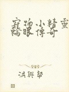 宠物小精灵之写轮眼传奇封面