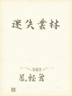 迷失丛林封面