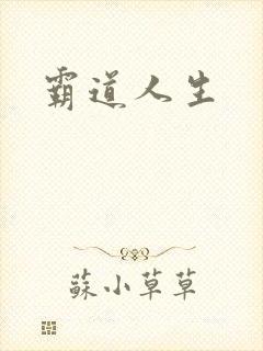 霸道人生封面