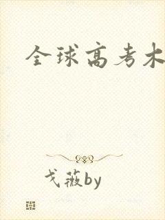 全球高考木苏里