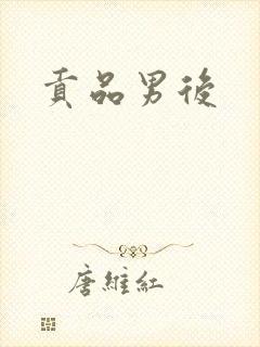 贡品男后