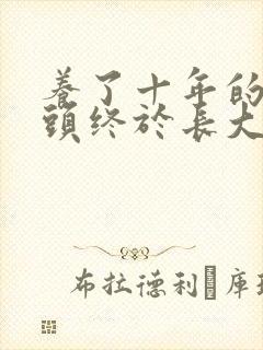 养了十年的小丫头终于长大了