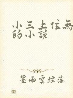 小三上位无三观的小说
