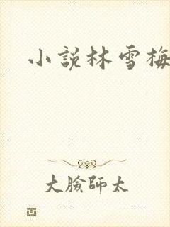 小说林雪梅