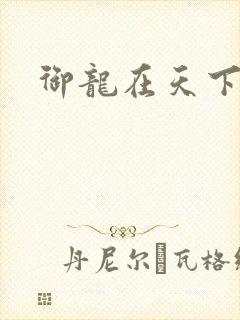 御龙在天下载
