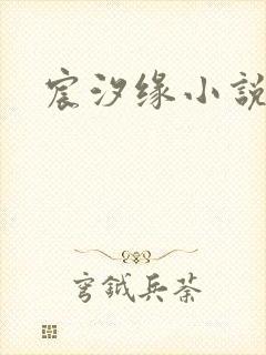 宸汐缘小说