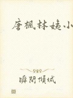 唐枫林姨小说