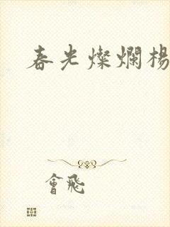 春光灿烂杨家将封面