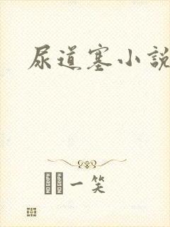 尿道塞小说封面