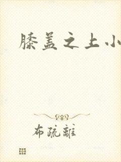 膝盖之上小说