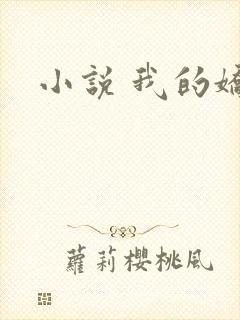 小说 我的娇妻