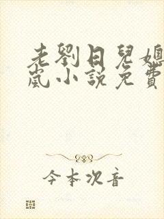 老刘日儿媳妇张岚小说免费阅读
