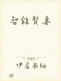 智能贤妻