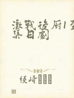 激战后厨1至5集日剧