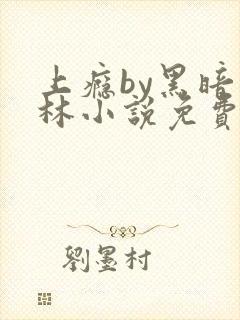 上瘾by黑暗森林小说免费封面